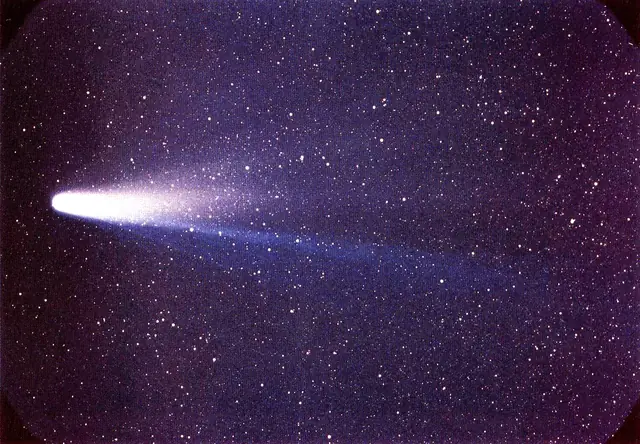 Photograph of 1P/Halley, a Halley-type comet.