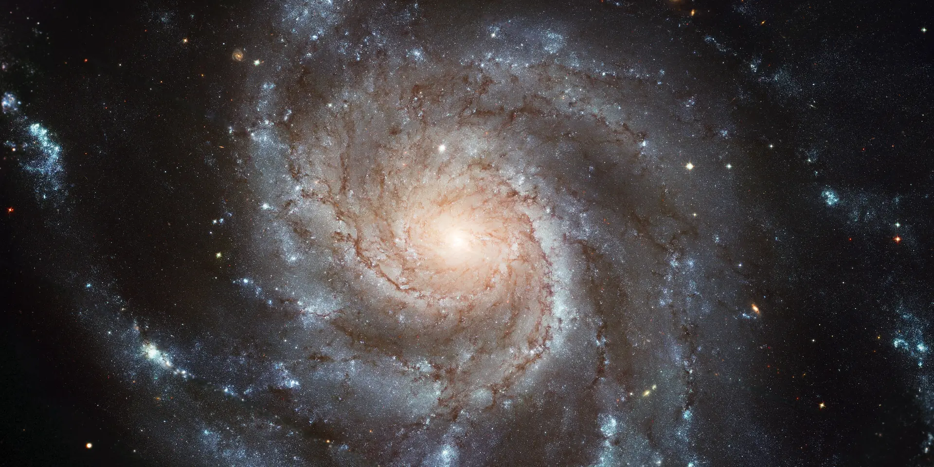 Photograph of M101, an intermediate spiral galaxy SABc in Ursa Major.