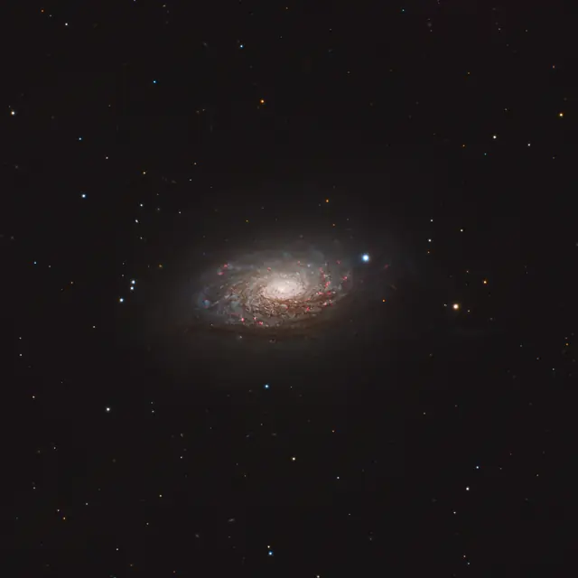 Photograph of Sunflower Galaxy, a spiral galaxy Sbc in Canes Venatici.