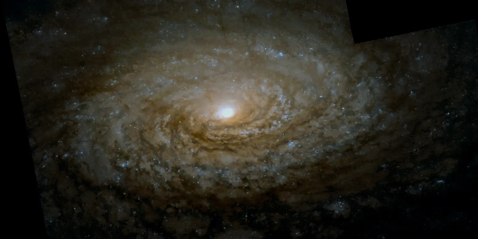 Hubble Space Telescope image of Sunflower Galaxy, a spiral galaxy Sbc in Canes Venatici.