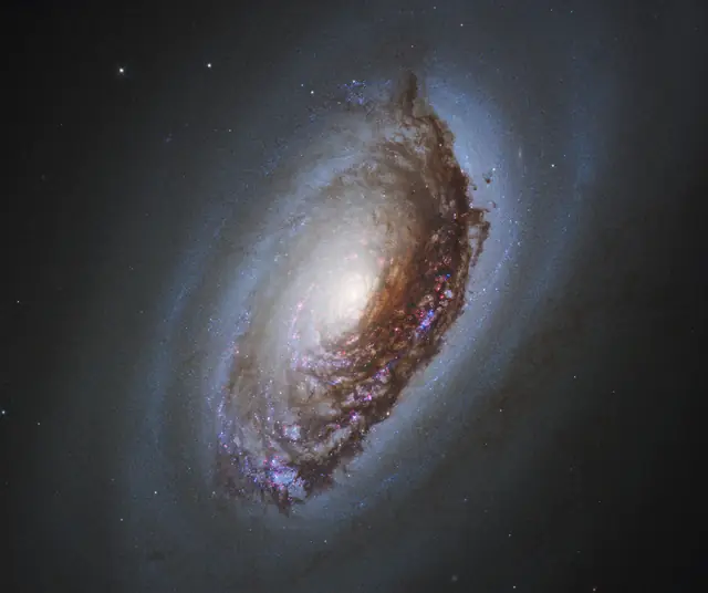 Hubble Space Telescope image of Black Eye Galaxy, an intermediate spiral galaxy SABa in Coma Berenices.