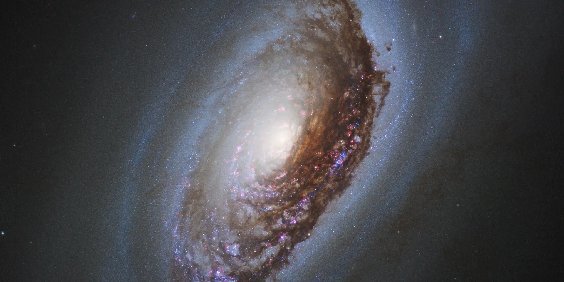 Hubble Space Telescope image of Black Eye Galaxy, an intermediate spiral galaxy SABa in Coma Berenices.