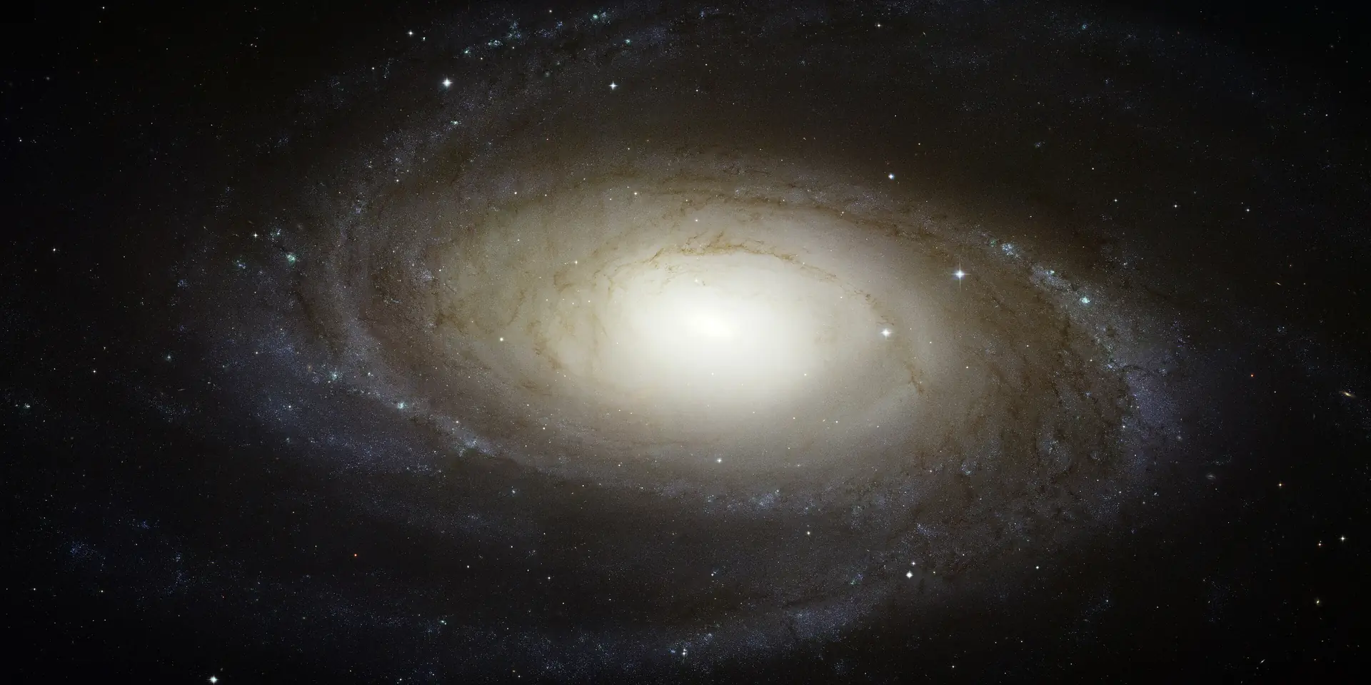 Hubble Space Telescope image of Bode's Galaxy, a spiral galaxy Sab in Ursa Major.