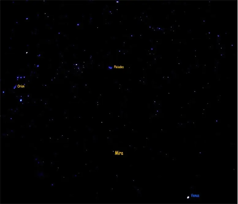 Photograph of Mira, an M5/6IIIe red giant in Cetus.