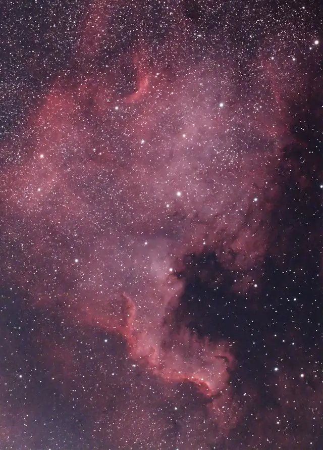 Photograph of North America Nebula, an H II region in Cygnus.